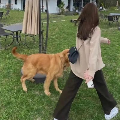 御兽王者