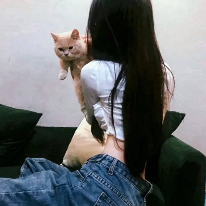 好奇的乔治2